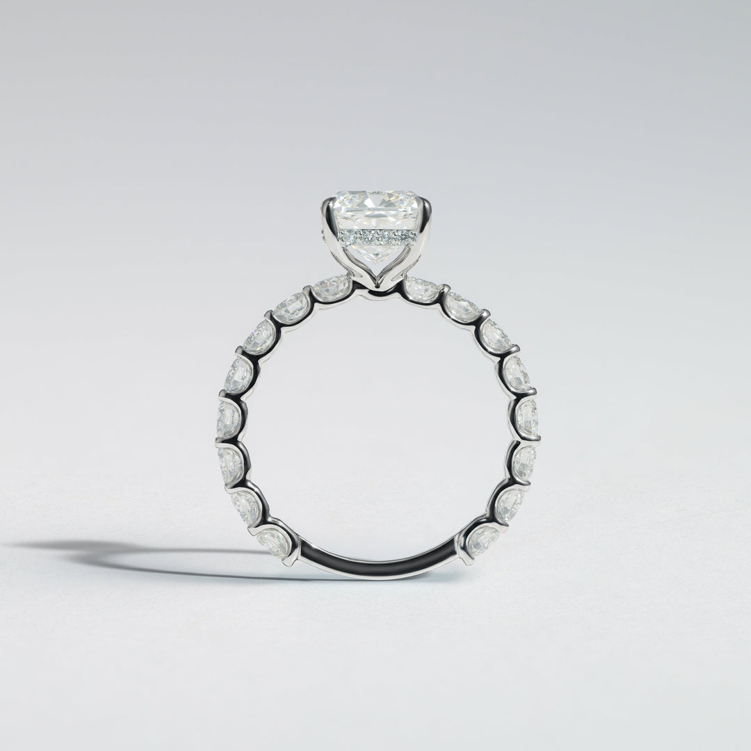 A diamond ring with a brilliant-cut center stone and a halo of round diamonds on a slim black band, photographed on a light gray background #material_white