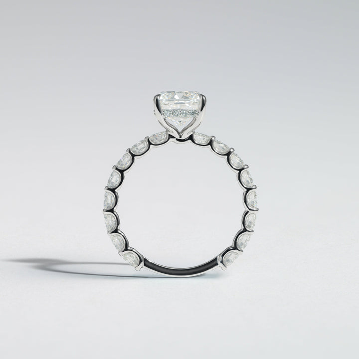 A diamond ring with a brilliant-cut center stone and a halo of round diamonds on a slim black band, photographed on a light gray background #material_white