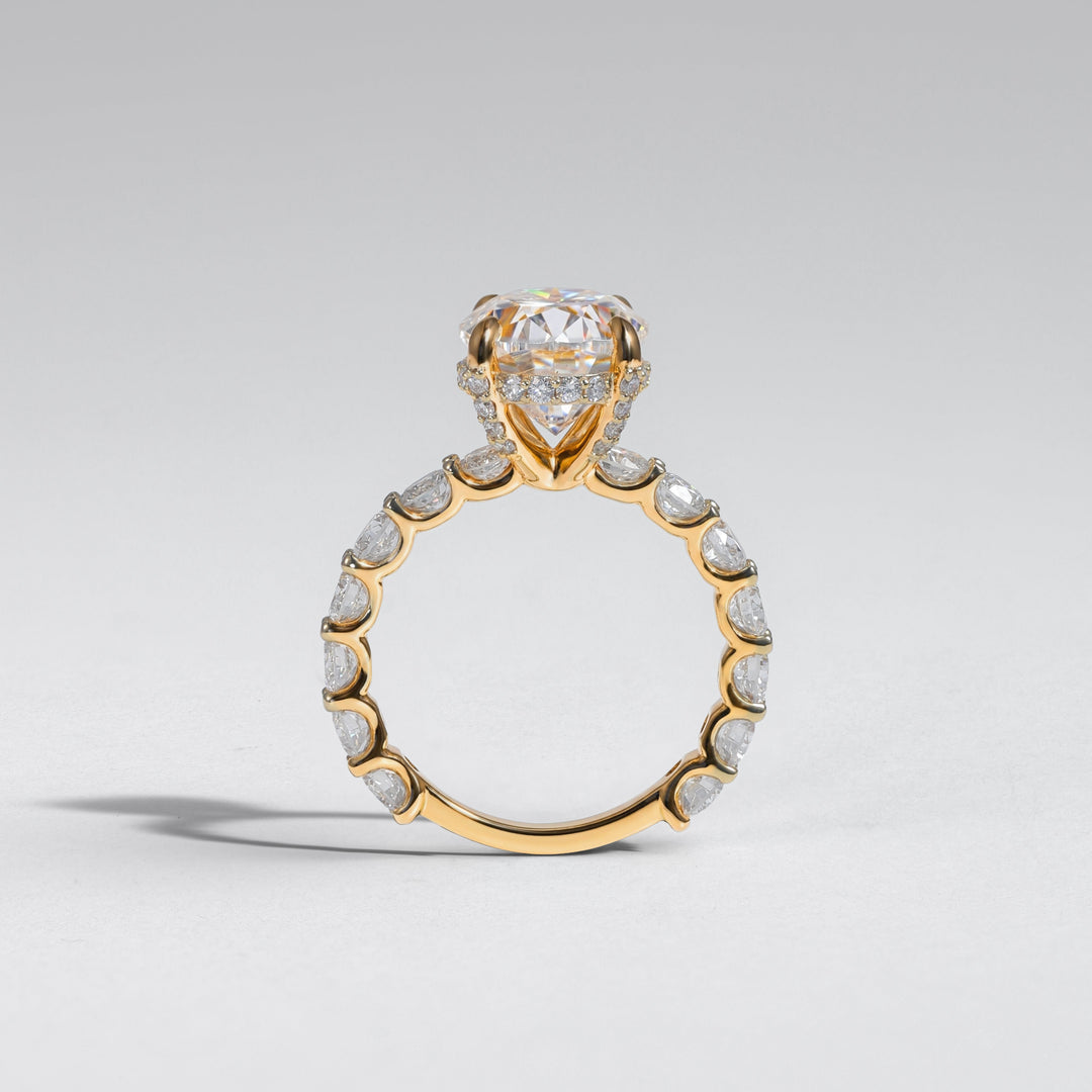 A yellow gold ring featuring a large round-cut diamond center stone in a prong setting, with a halo of smaller diamonds and a pavé-set diamond band, shown on a neutral light gray background #material_gold