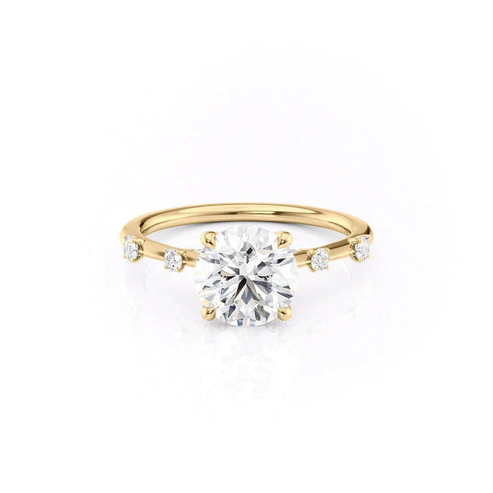 The Sasha Set With Round Side Stone Lab Diamond 1 Carat 14K Gold#material_14k-gold